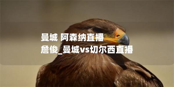 曼城 阿森纳直播 詹俊_曼城vs切尔西直播