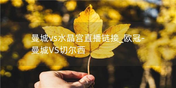 曼城vs水晶宫直播链接_欧冠-曼城VS切尔西