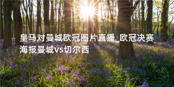 皇马对曼城欧冠图片直播_欧冠决赛海报曼城vs切尔西