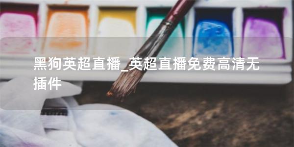 黑狗英超直播_英超直播免费高清无插件